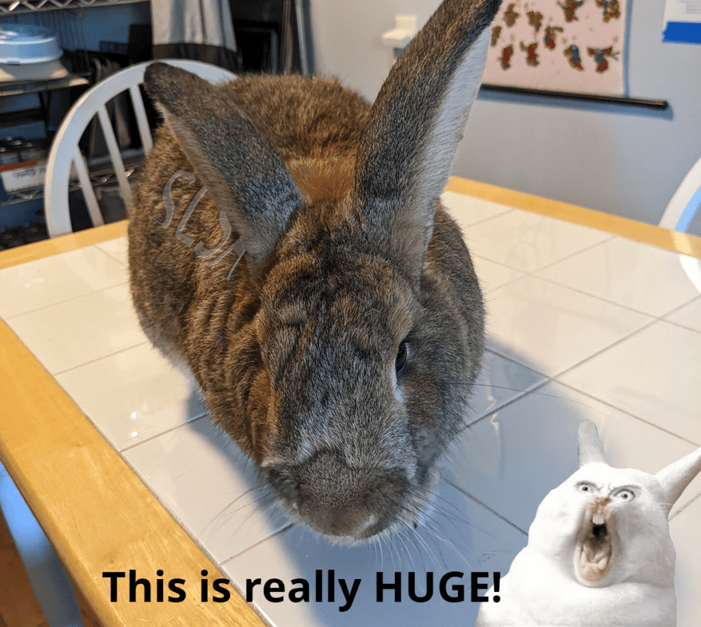 SLSA is really huge!